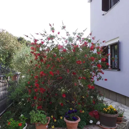 Appartement 1 Petrčane